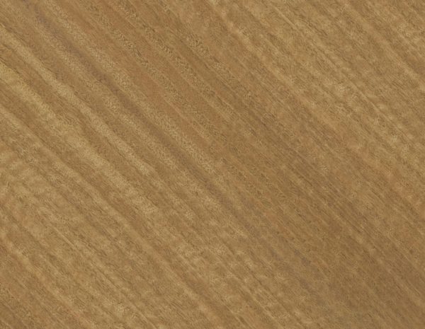 Quartered Burled Maple Texture Diffuse Map Sample by Rendernode