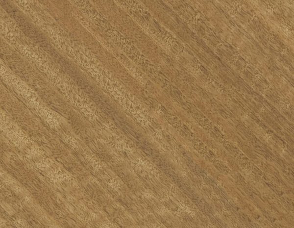 Quartered Maple Texture Diffuse Map Sample by Rendernode